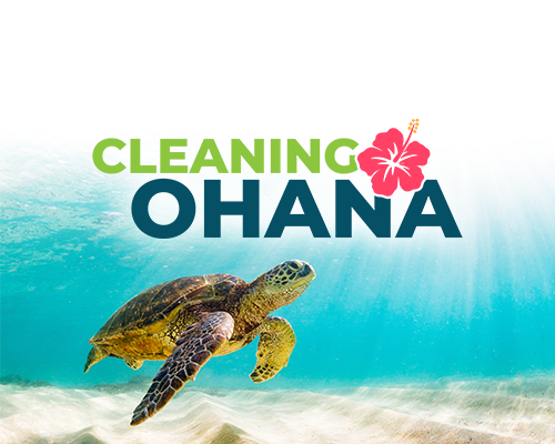 Cleaning Ohana