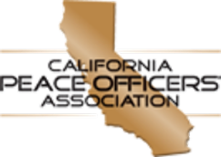 web design and development portfolio