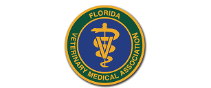 web design and development portfolio